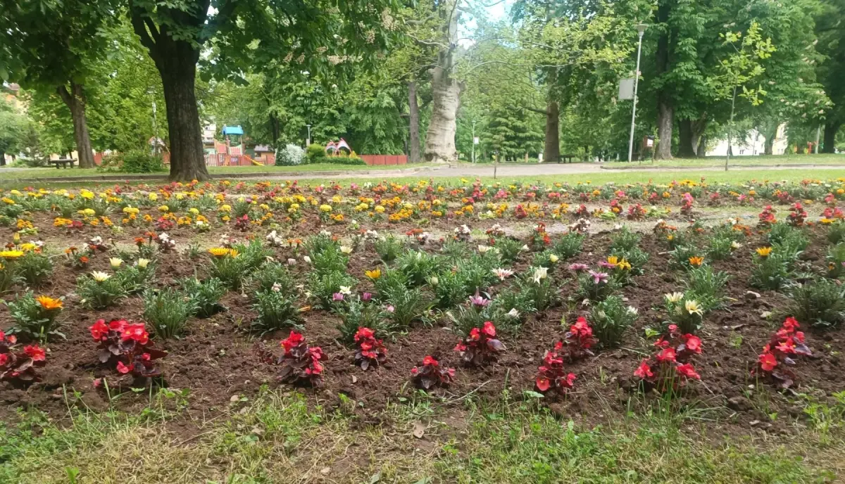 Пролет в парк „Слънчева градина“ в град Вършец (СНИМКИ)